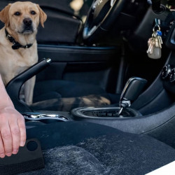 Pet Hair Remover Brush