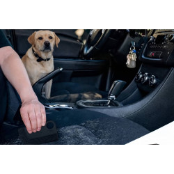 Pet Hair Remover Brush