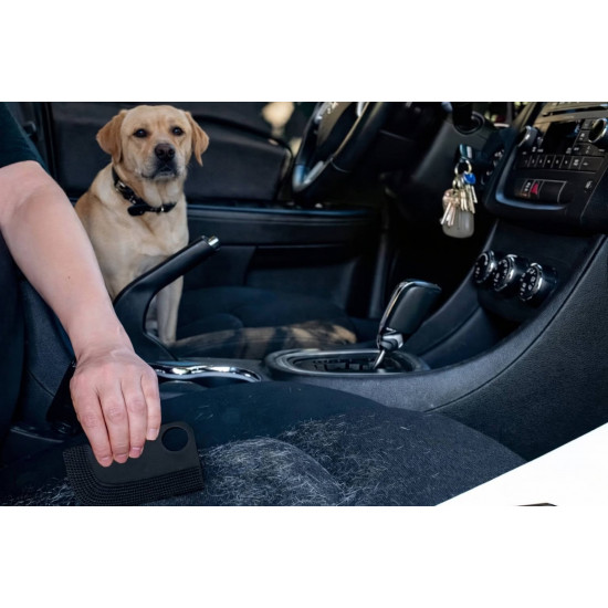 Pet Hair Remover Brush