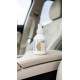 Cleantle Car mists интериорен парфюмен спрей
