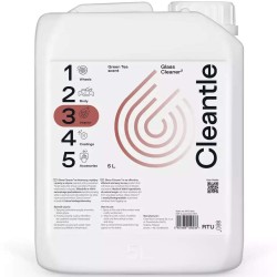 GLASS CLEANER2 CLEANTLE 5l